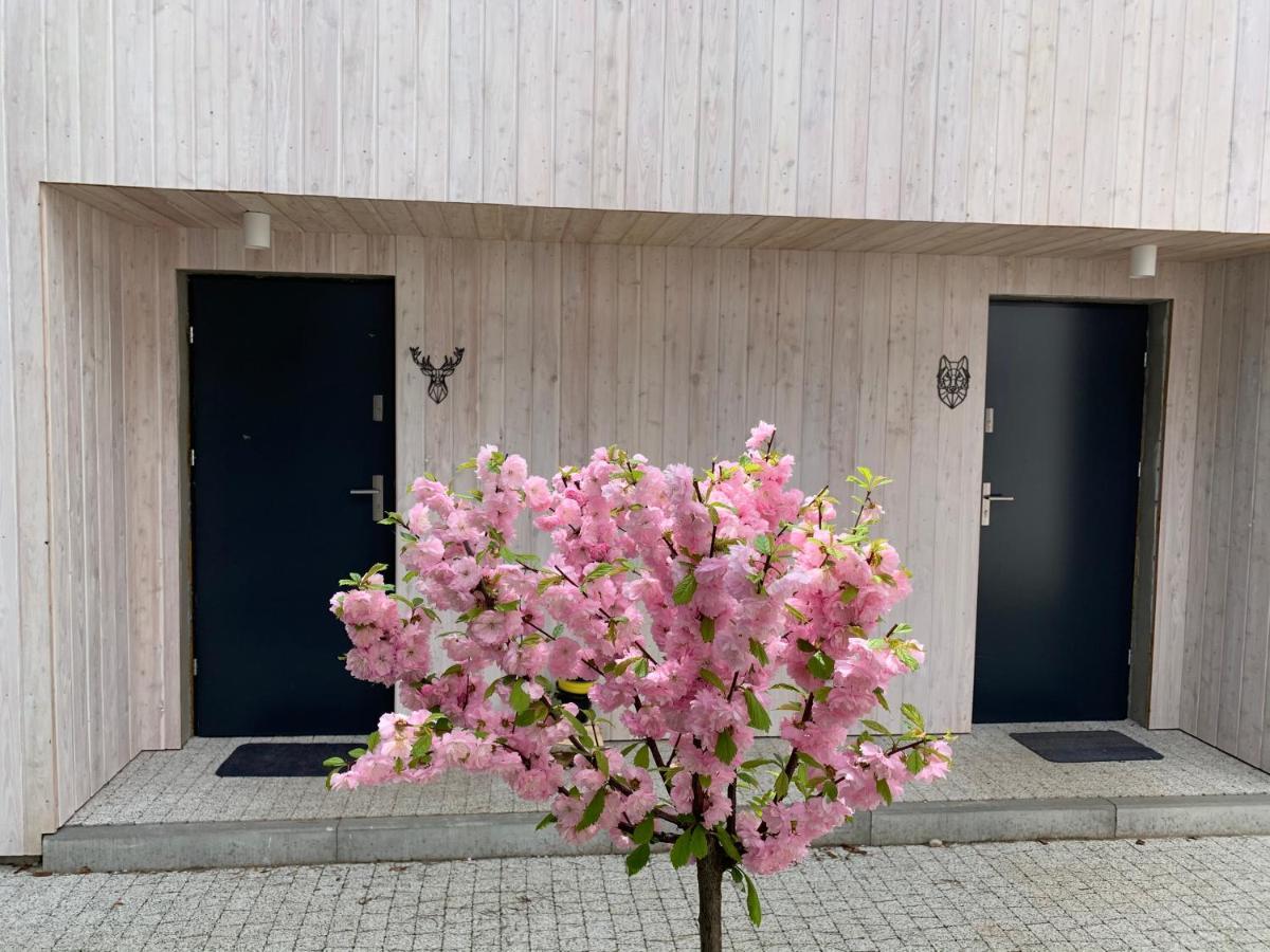 Apartment Masz Ci